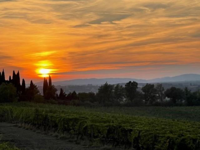 Podere Borgaruccio Peccioli Luaran gambar