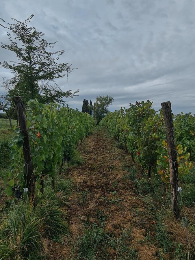 Podere Borgaruccio Peccioli Luaran gambar