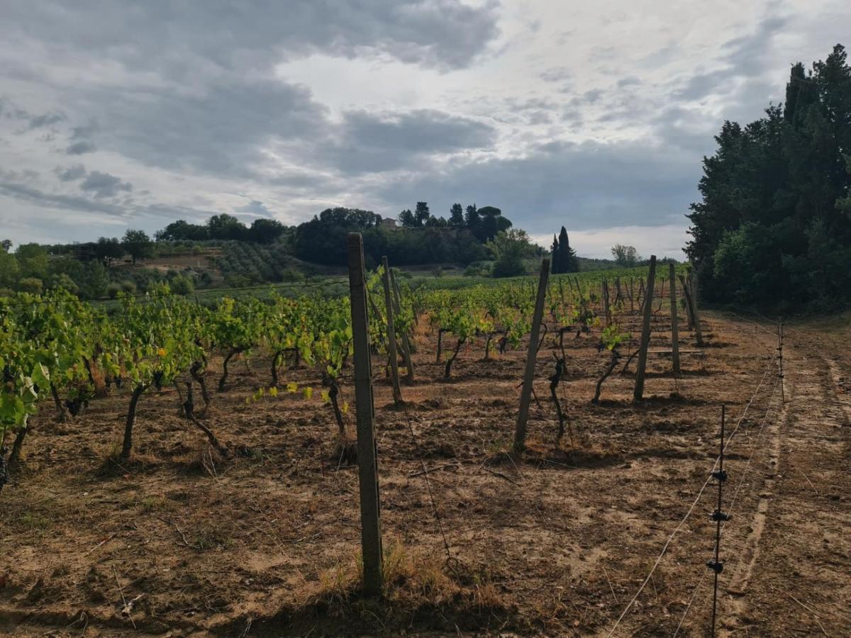 Podere Borgaruccio Peccioli Luaran gambar