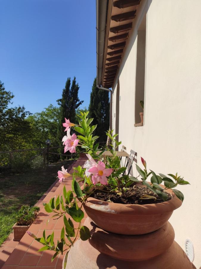 Podere Borgaruccio Peccioli Luaran gambar