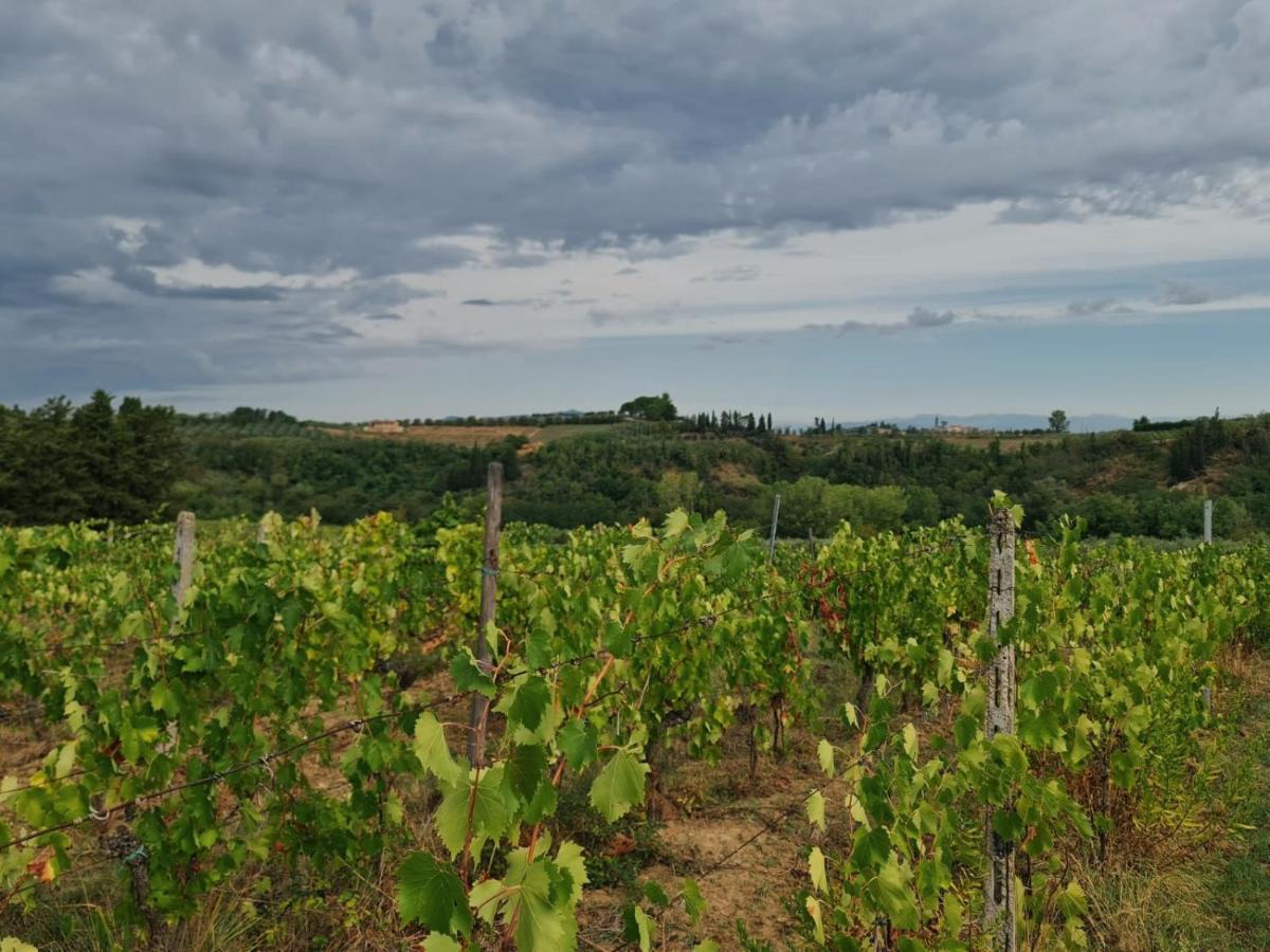 Podere Borgaruccio Peccioli Luaran gambar