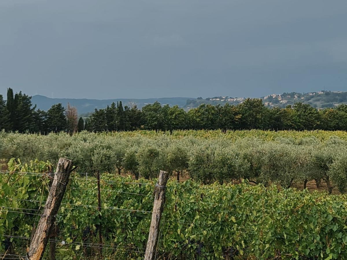 Podere Borgaruccio Peccioli Luaran gambar